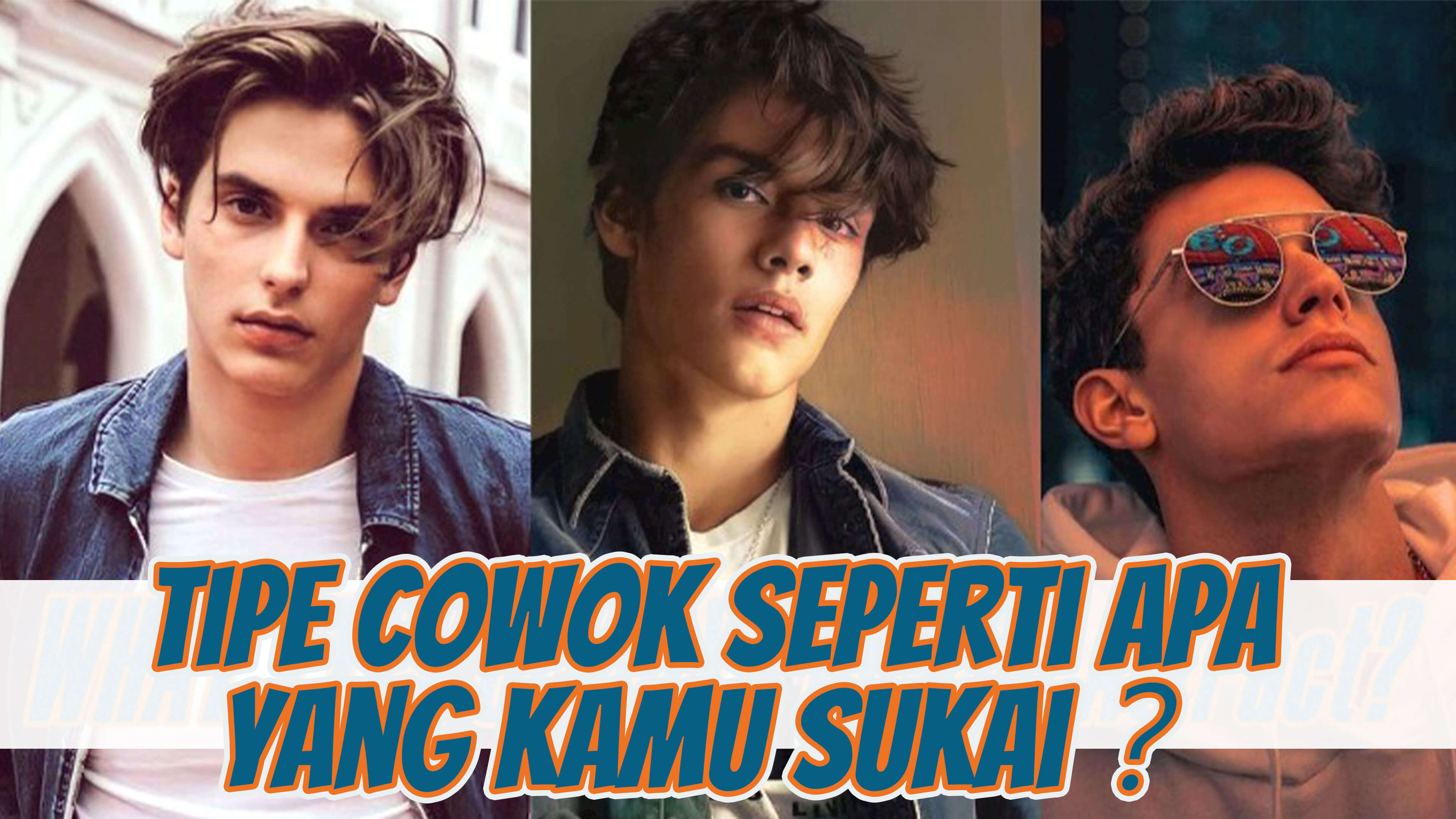 Tipe Cowok Apa yang Anda Tarik?